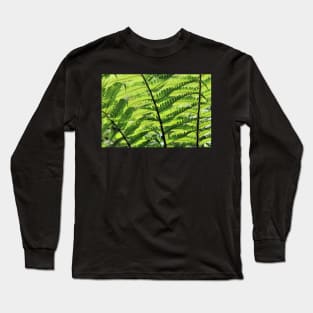 Sunlight weaving through fern fronds Long Sleeve T-Shirt